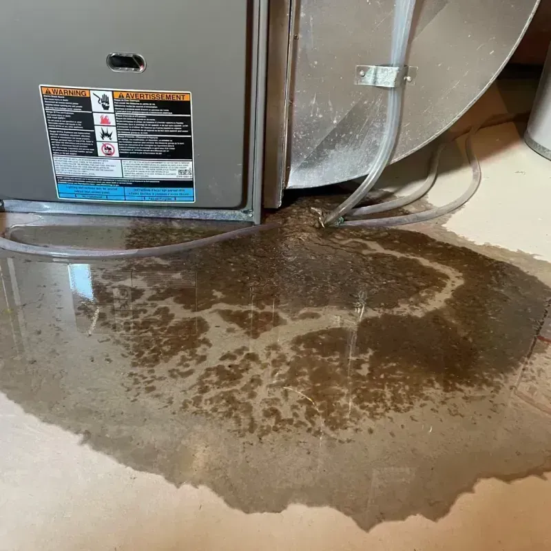 Appliance Leak Cleanup in Shannon County, MO